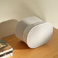 Sonos Era 300